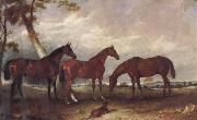 unknow artist Some Horses oil